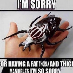 oscar778's Avatar