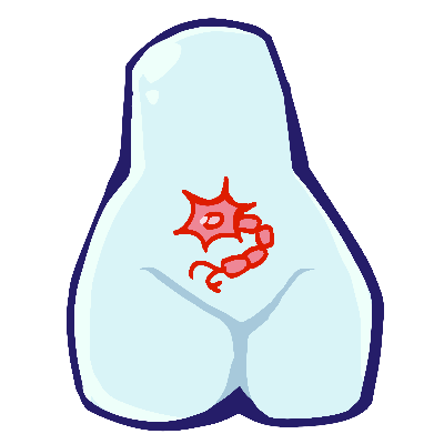 Cell Symbiont